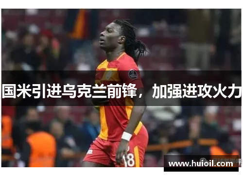 国米引进乌克兰前锋，加强进攻火力