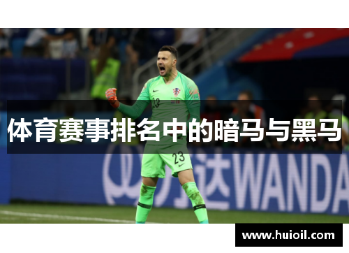体育赛事排名中的暗马与黑马