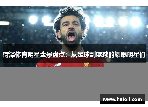 菏泽体育明星全景盘点：从足球到篮球的耀眼明星们